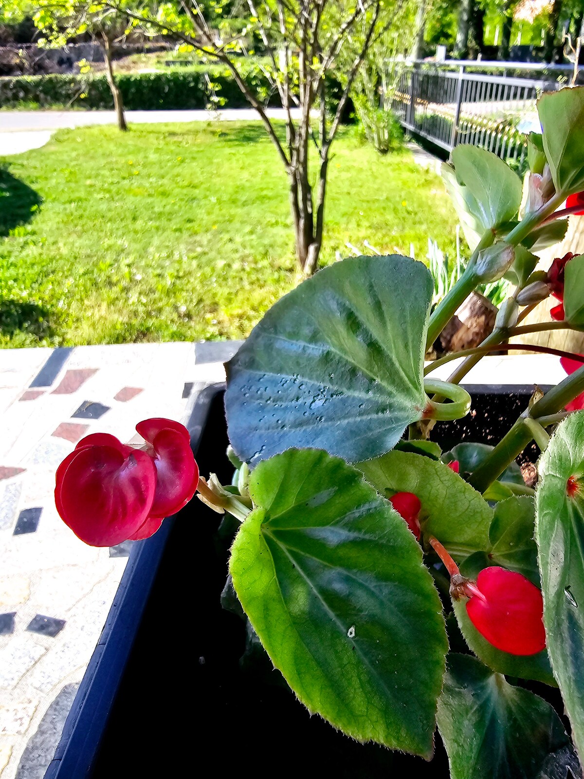 Garten mit Blumen und gr&uuml;ner Umgebung in Biograci bei &Scaron;iroki Brijeg